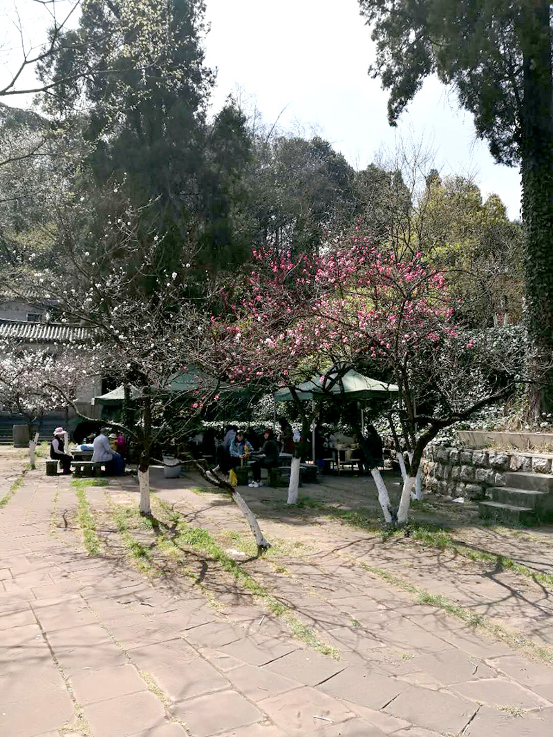 九洲国际官网(中国区)股份有限公司