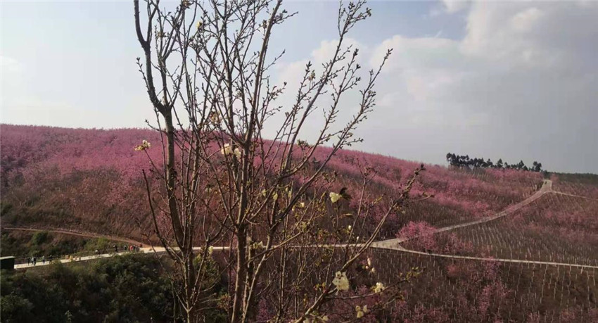 九洲国际官网(中国区)股份有限公司